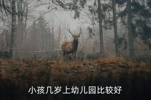 小孩幾歲上幼兒園比較好