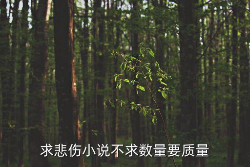求悲傷小說不求數(shù)量要質(zhì)量