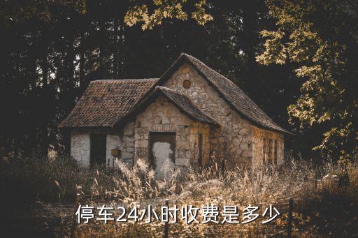 停車24小時收費是多少