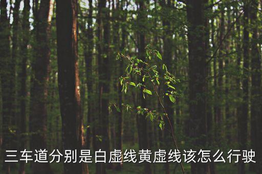 三車(chē)道分別是白虛線黃虛線該怎么行駛