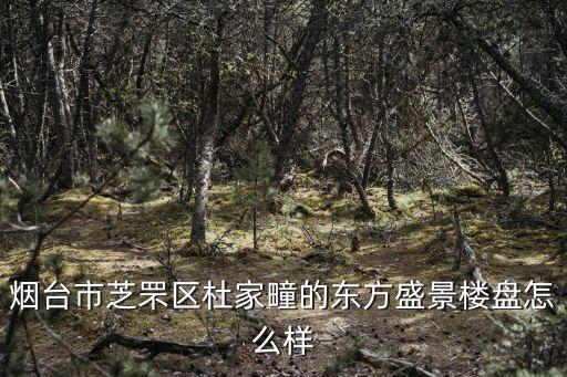 煙臺市芝罘區(qū)杜家疃的東方盛景樓盤怎么樣