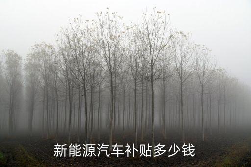 新能源汽車補貼多少錢