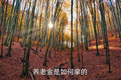 養(yǎng)老金領(lǐng)取，養(yǎng)老保險金怎么領(lǐng)取