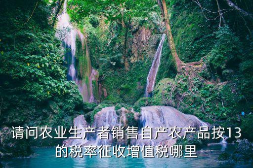 請問農(nóng)業(yè)生產(chǎn)者銷售自產(chǎn)農(nóng)產(chǎn)品按13的稅率征收增值稅哪里
