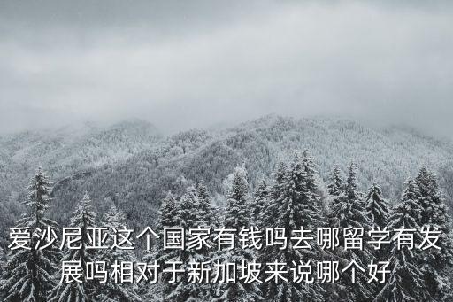 愛(ài)沙尼亞這個(gè)國(guó)家有錢(qián)嗎去哪留學(xué)有發(fā)展嗎相對(duì)于新加坡來(lái)說(shuō)哪個(gè)好
