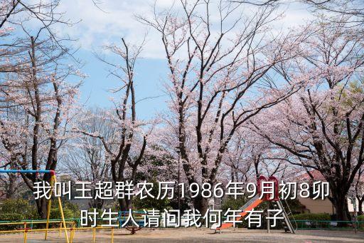 王超群，我叫王超群農(nóng)歷1986年9月初8卯時生人請問我何年有子