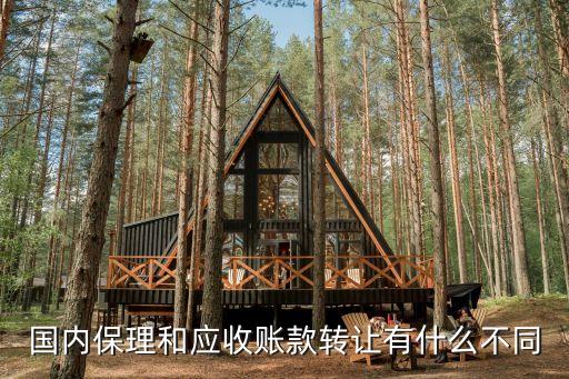 國內(nèi)保理，國內(nèi)保理業(yè)務(wù)簡介