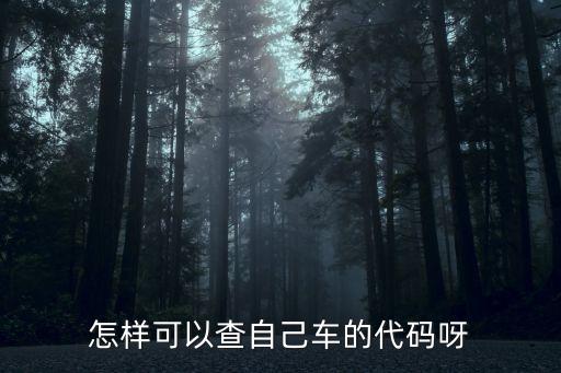 車輛識別代碼查詢，怎樣可以查自己車的代碼呀