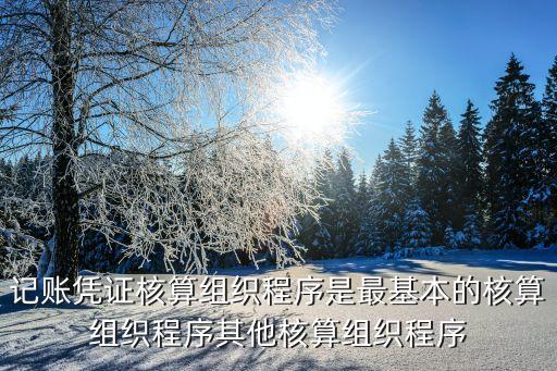 組織程序，集體經(jīng)驗判斷法如何組織程序是什么