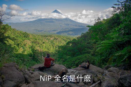 nip，NiP 全名是什麼