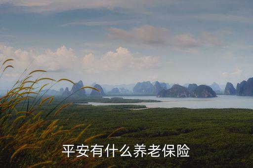 平安有什么養(yǎng)老保險