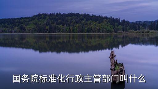 國(guó)標(biāo)委，國(guó)務(wù)院標(biāo)準(zhǔn)化行政主管部門(mén)叫什么