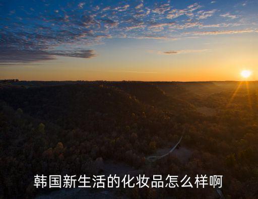 新生活化妝品怎么樣，韓國新生活的化妝品怎么樣啊