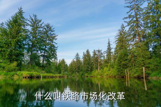 市場化改革，推進(jìn)市場化改革必須做好什么工作