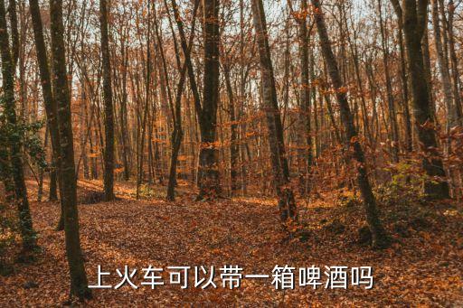 啤酒能帶上火車嗎，火車上可以攜帶啤酒嗎