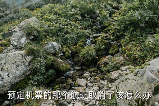 航班取消怎么辦，預(yù)定機(jī)票的那個(gè)航班取消了該怎么辦