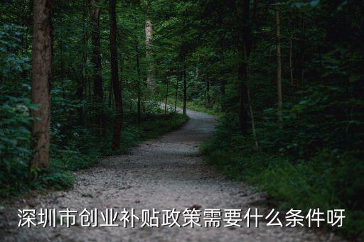 深圳創(chuàng)業(yè)補貼，深圳自主創(chuàng)業(yè)補貼申請條件