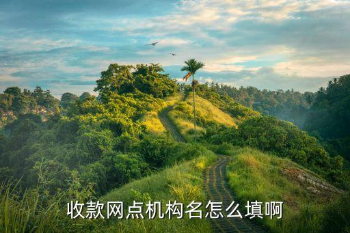 機構(gòu)名稱怎么填，收款網(wǎng)點機構(gòu)名怎么填啊