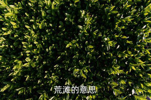 灘涂是什么意思，黃海灘涂是指什么省什么市