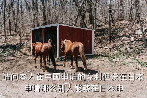 日本專利局，獲得專利文獻(xiàn)最方便快捷的方式是什么