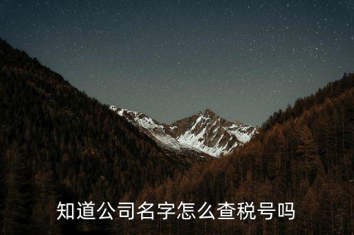 查稅號，公司稅號從哪里查的
