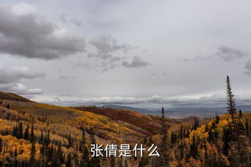 張倩是什么