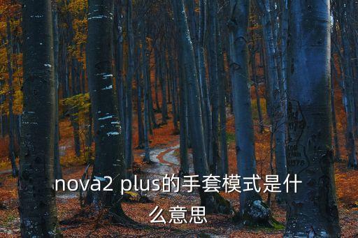 nova2 plus的手套模式是什么意思