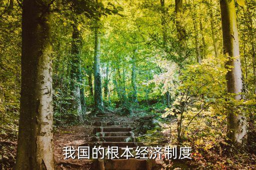 我國的根本制度是什么，我國的根本經(jīng)濟(jì)制度