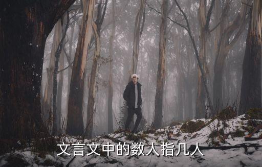 文言文中的數(shù)人指幾人