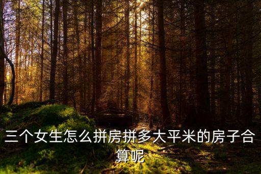 拼房，你知道怎么拼房子嗎