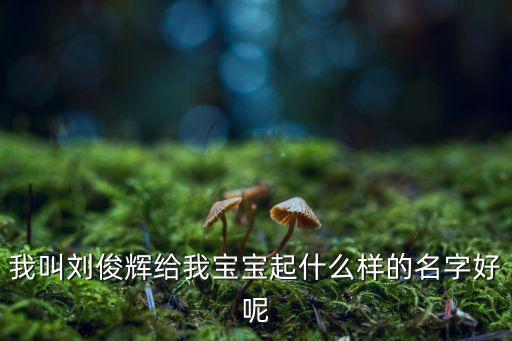 我叫劉俊輝給我寶寶起什么樣的名字好呢