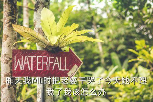 操了她，昨天我ML時(shí)把老婆干哭了今天她不理我了我該怎么辦