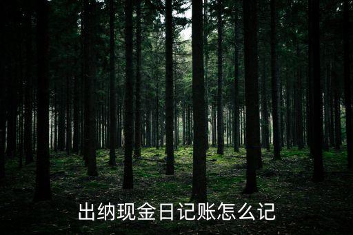 出納現(xiàn)金日記賬怎么記