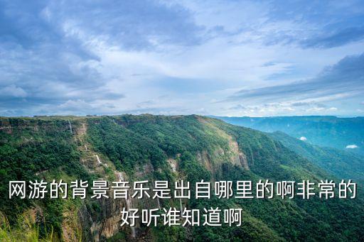 張偉林，張偉林手工吉他怎么樣