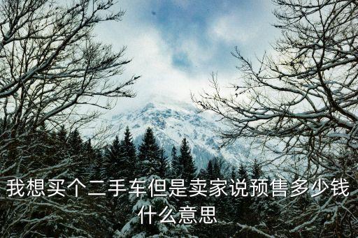我想買個二手車但是賣家說預(yù)售多少錢什么意思