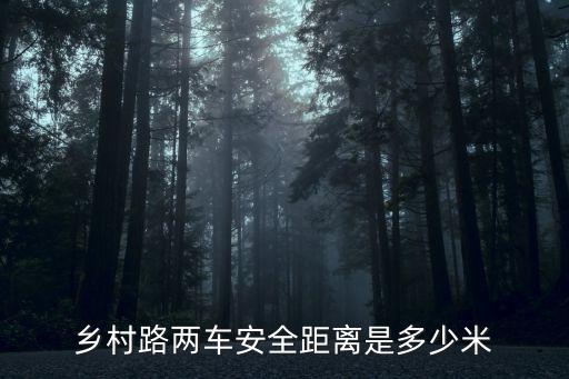 鄉(xiāng)村路兩車安全距離是多少米