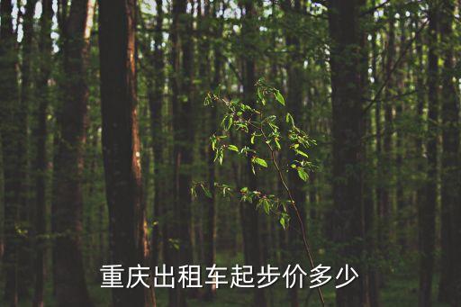 重慶出租車(chē)起步價(jià)，重慶出租車(chē)起步價(jià)多少