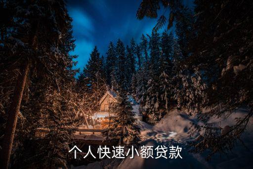 個(gè)人快速小額貸款