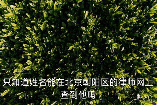 只知道姓名能在北京朝陽區(qū)的律師網(wǎng)上查到他嗎
