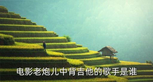 電影老炮兒中背吉他的歌手是誰