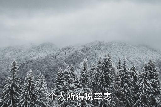 個(gè)稅表，個(gè)人所得稅率表