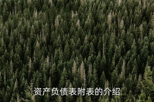 資產(chǎn)負(fù)債表附表的介紹