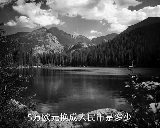 5萬(wàn)歐元，5萬(wàn)歐元換成人民幣是多少