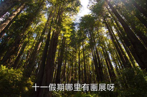 尹朝陽，十一假期哪里有畫展呀