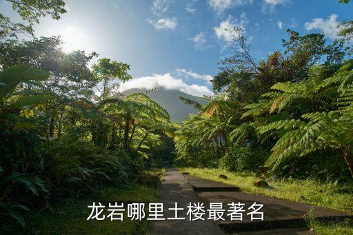 地樓，地面面層包括什么
