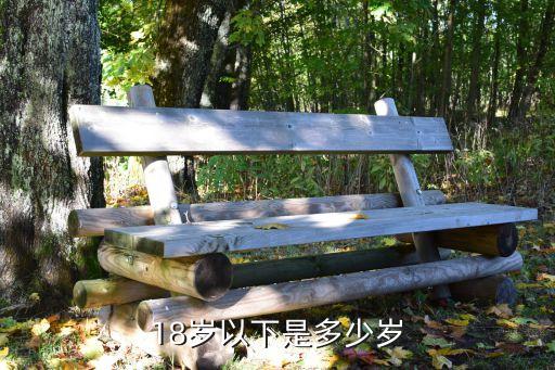 18歲以下是多少歲