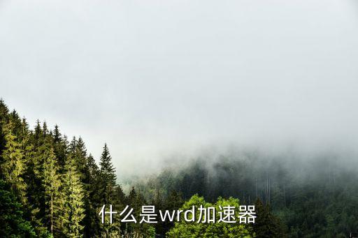 wrd，什么是wrd加速器