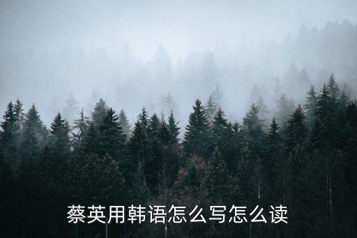 蔡英用韓語怎么寫怎么讀