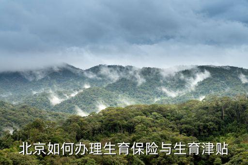北京如何辦理生育保險與生育津貼