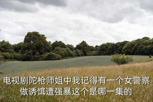 電視劇陀槍師姐中我記得有一個(gè)女警察做誘餌遭強(qiáng)暴這個(gè)是哪一集的